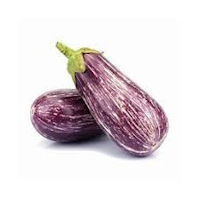 Aubergine Zébré